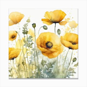 Yellow Poppies 1 Canvas Print