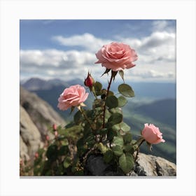 Roses On A Rock Canvas Print