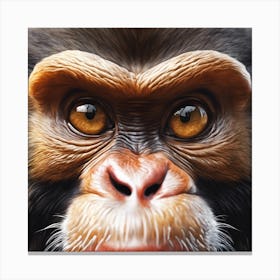 Chimpanzee 19 Canvas Print