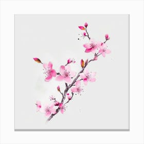 Cherry Blossoms 1 Canvas Print