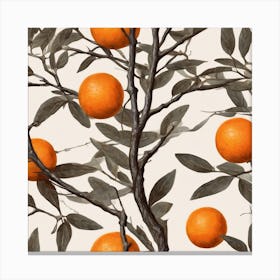 Oranges On A Tree Canvas Print