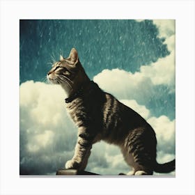 Cat In The Rain Canvas Print