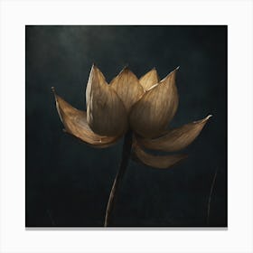 Lotus Canvas Print