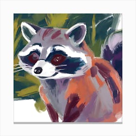 Raccoon 10 Canvas Print