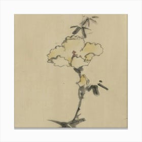 Carnation Canvas Print