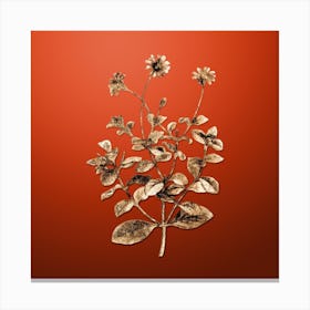 Gold Botanical Blue Marguerite Plant on Tomato Red n.3153 Canvas Print