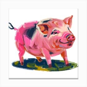 Landrace Pig 03 Canvas Print