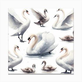 Swans 15 Canvas Print