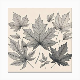 Line Art maple leaves 1 Canvas Print