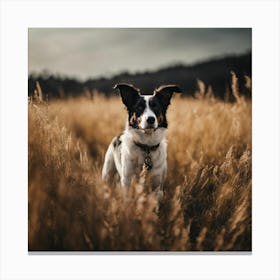 Dog In The Field 2 Canvas Print