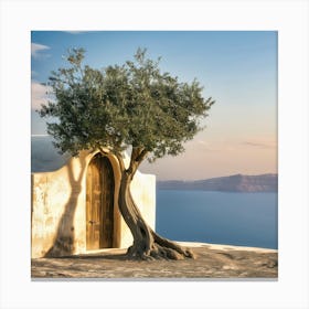 Olive Tree In Sunlight (I) Canvas Print