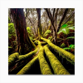 Mossy Tree Roots  Canvas Print