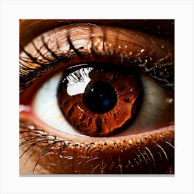 Brown Eye Human Close Up Pupil Iris Vision Gaze Look Stare Sight Close Macro Detailed (4) Canvas Print