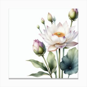 Lotuses Canvas Print