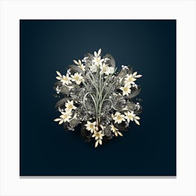 Vintage Narcissus Candidissimus Flower Wreath on Teal Blue n.1146 Canvas Print