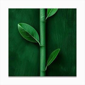 Green Bamboo On A Green Background Canvas Print