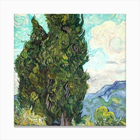 Van Gogh 12 Canvas Print