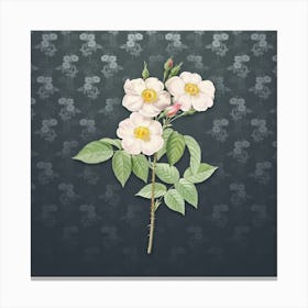 Vintage Rose of Castile Botanical on Slate Gray Pattern n.2443 Canvas Print