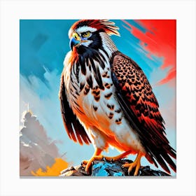 Hawk Perched On Rock 2 Canvas Print