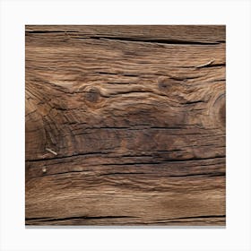 Old Wood Texture 1 Canvas Print