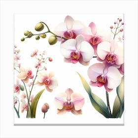 Orchid 6 Canvas Print