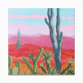 Cactus In The Desert 1 Canvas Print