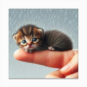 Kitten In Rain 1 Canvas Print