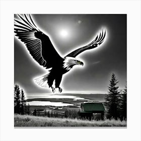 Eagle In Flight Canvas Print