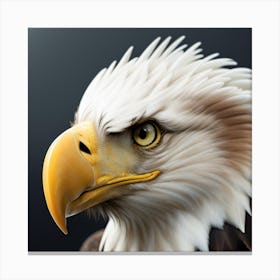 Bald Eagle Canvas Print