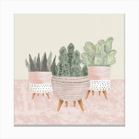 Cute Succulents In Pink Square Canvas Print