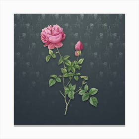 Vintage Pink Autumn China Rose Botanical on Slate Gray Pattern Canvas Print