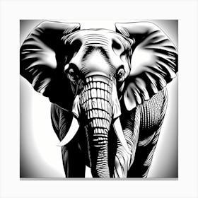 Elephant Black and White Vector, 1353 Canvas Print