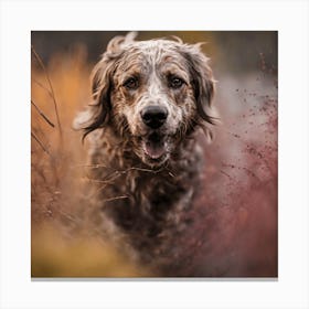 Dog In The Grass Canvas Print