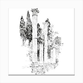 Pillars And Trees Canvas Print