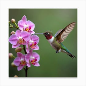 Hummingbird With Orchids 1 Canvas Print