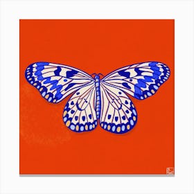 Butterfly On Red Background Square Canvas Print