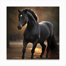 Beautiful Horse 1 Canvas Print