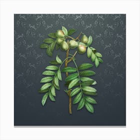 Vintage Service Tree Botanical on Slate Gray Pattern Canvas Print