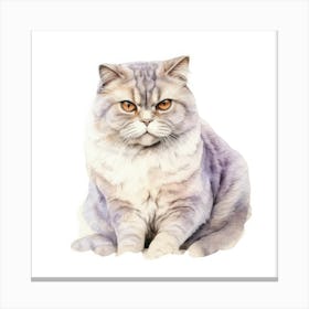 Scottish Fold Shorthair Cat Portrait 1 Canvas Print