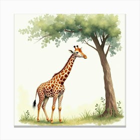 Giraffe Under Tree Canvas Print