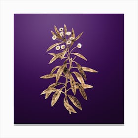 Gold Botanical Globe Daisy Shrub on Royal Purple n.0187 Canvas Print