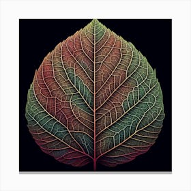 Leaf Of Life Canvas Print