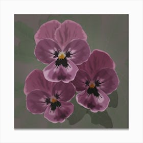 Three Lilac Viola Flowers With Green Leaves On A Dark Green Background 1 Canvas Print