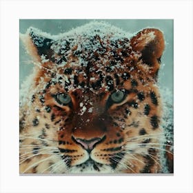 Leopard In Snow Canvas Print