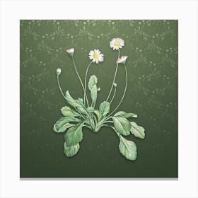 Vintage Daisy Flowers Botanical on Lunar Green Pattern n.0747 Canvas Print