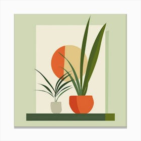 Two Plants On A Shelf Canvas Print