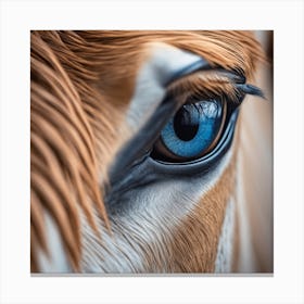 Eye Of A Horse 38 Canvas Print