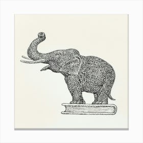 Elephant On A Book Canvas Print