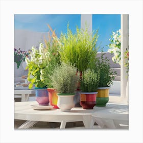 Potted Plants On A Table 1 Canvas Print