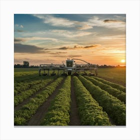 Tractor Plowing A Field At Sunset Canvas Print